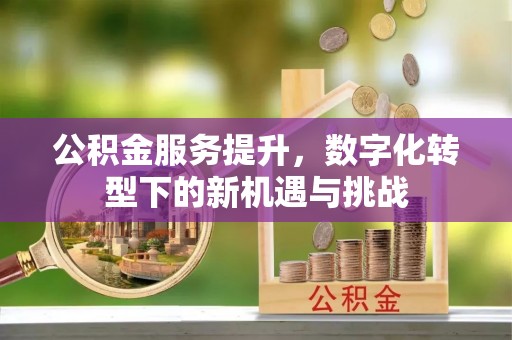 古浪公积金服务提升，数字化转型下的新机遇与挑战