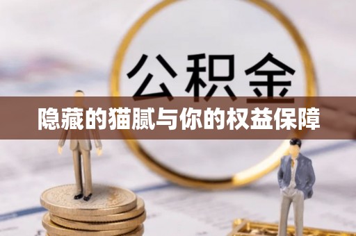 古浪隐藏的猫腻与你的权益保障