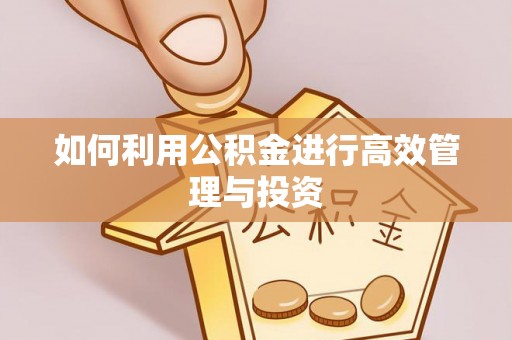 古浪如何利用公积金进行高效管理与投资